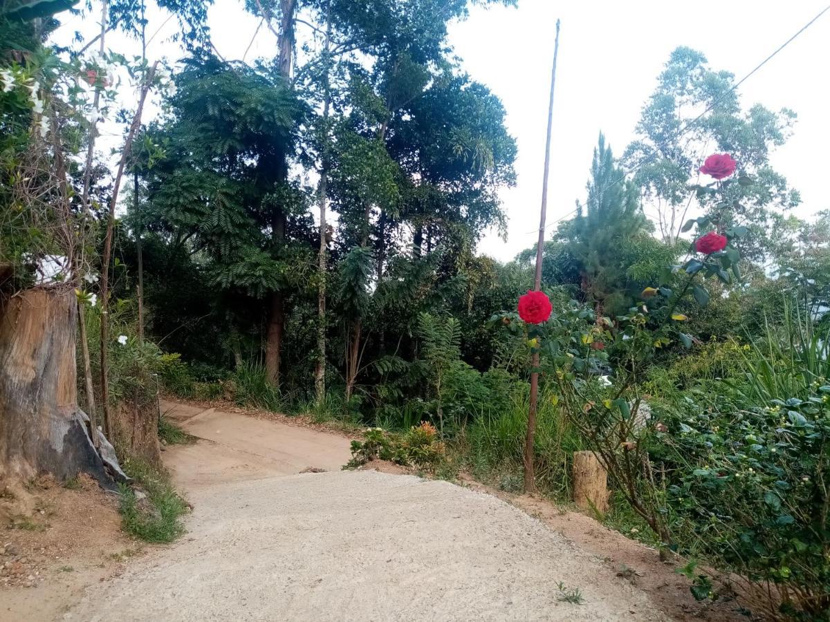 Apurvi Homestay Ella Luaran gambar